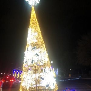 Meet your Posher, Letty